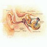 Types and Causes of Hearing Loss